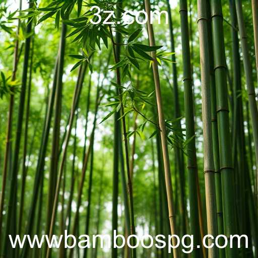 A ascensão do mercado sustentável: o bamboospg em foco